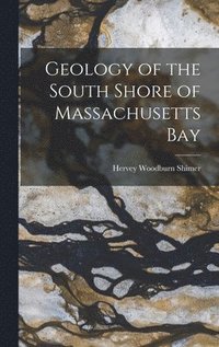 bokomslag Geology of the South Shore of Massachusetts Bay