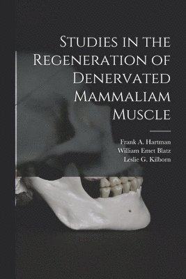 Studies in the Regeneration of Denervated Mammaliam Muscle [microform] 1
