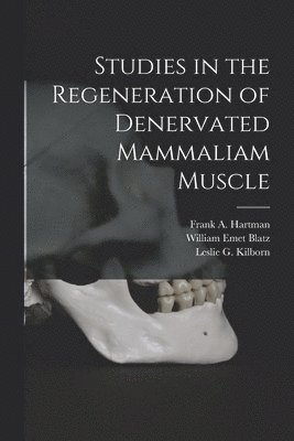 Studies in the Regeneration of Denervated Mammaliam Muscle [microform]