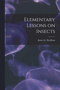 bokomslag Elementary Lessons on Insects