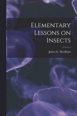 bokomslag Elementary Lessons on Insects