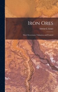 bokomslag Iron Ores