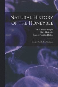 bokomslag Natural History of the Honeybee [electronic Resource]