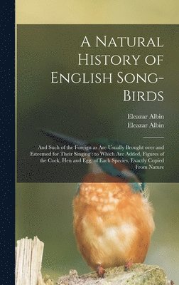 bokomslag A Natural History of English Song-birds