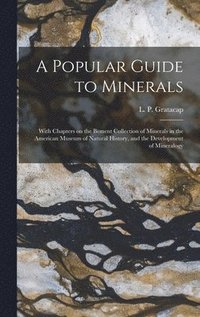 bokomslag A Popular Guide to Minerals