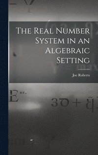 bokomslag The Real Number System in an Algebraic Setting