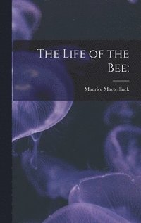 bokomslag The Life of the Bee;