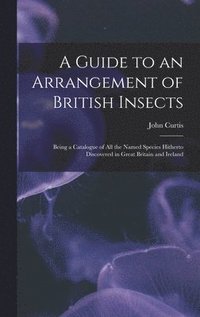 bokomslag A Guide to an Arrangement of British Insects