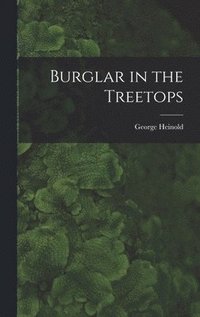 bokomslag Burglar in the Treetops