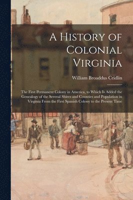 bokomslag A History of Colonial Virginia