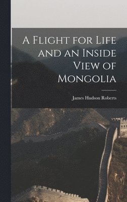 A Flight for Life and an Inside View of Mongolia 1