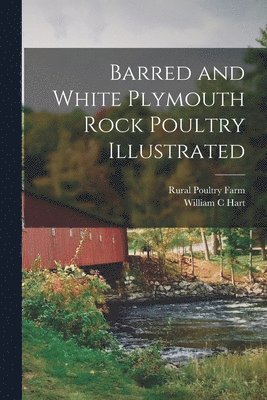 Barred and White Plymouth Rock Poultry Illustrated 1