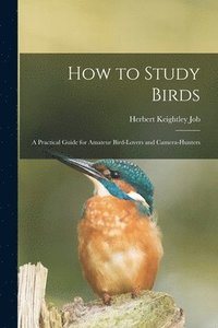bokomslag How to Study Birds