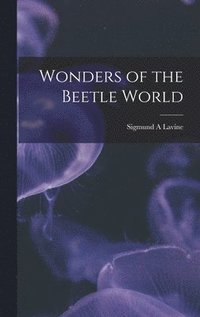 bokomslag Wonders of the Beetle World