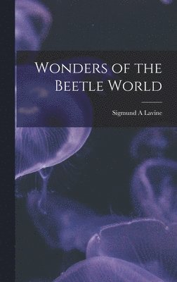 bokomslag Wonders of the Beetle World
