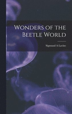 bokomslag Wonders of the Beetle World