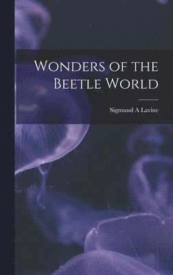 Wonders of the Beetle World 1