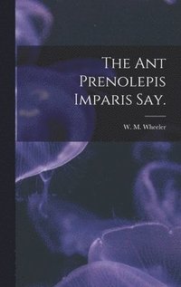 bokomslag The Ant Prenolepis Imparis Say.