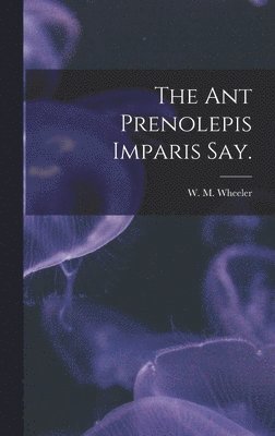 The Ant Prenolepis Imparis Say. 1