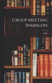 bokomslag Group Meeting Sparklers