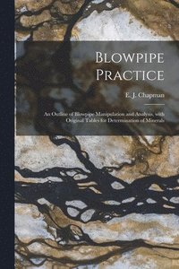 bokomslag Blowpipe Practice [microform]
