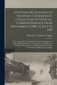 bokomslag Egyptian Delegation to the Peace Conference, Collection of Official Correspondence From November 11, 1918, to July 14, 1919; Twelve Appendices Containing Verbatim Transcriptions of Official Egyptia...