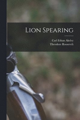 Lion Spearing 1