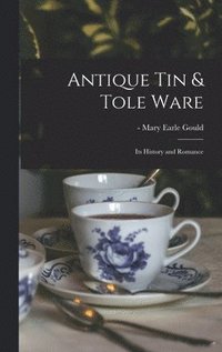 bokomslag Antique Tin & Tole Ware