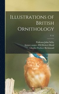 bokomslag Illustrations of British Ornithology; v 11