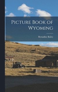 bokomslag Picture Book of Wyoming