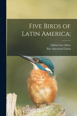 Five Birds of Latin America; 1