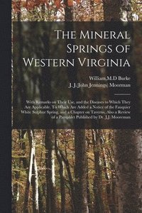 bokomslag The Mineral Springs of Western Virginia