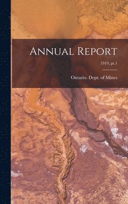 bokomslag Annual Report; 1919, pt.1