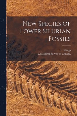 New Species of Lower Silurian Fossils [microform] 1