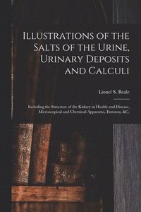 bokomslag Illustrations of the Salts of the Urine, Urinary Deposits and Calculi