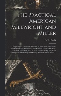 bokomslag The Practical American Millwright and Miller