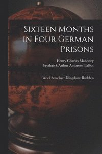 bokomslag Sixteen Months in Four German Prisons