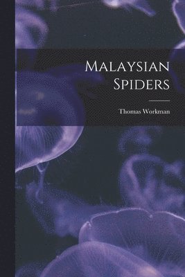 bokomslag Malaysian Spiders