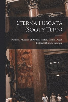 Sterna Fuscata (sooty Tern) 1