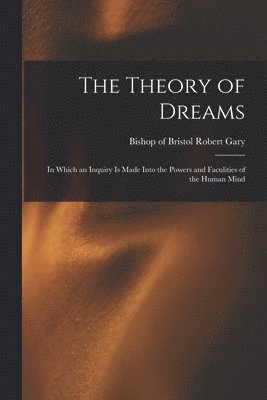 bokomslag Theory of Dreams