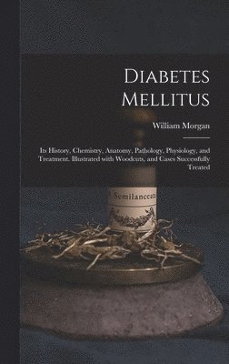 bokomslag Diabetes Mellitus