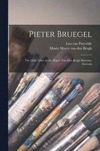 bokomslag Pieter Bruegel