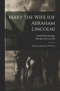 bokomslag Mary the Wife (of Abraham Lincoln)