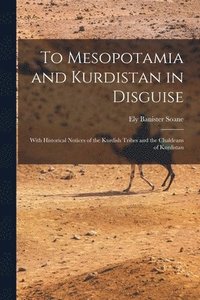 bokomslag To Mesopotamia and Kurdistan in Disguise