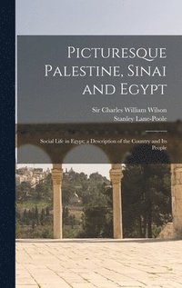 bokomslag Picturesque Palestine, Sinai and Egypt