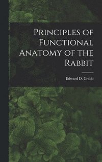 bokomslag Principles of Functional Anatomy of the Rabbit