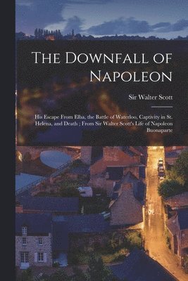 bokomslag The Downfall of Napoleon