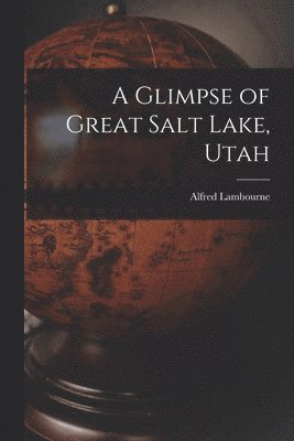 bokomslag Glimpse of Great Salt Lake, Utah