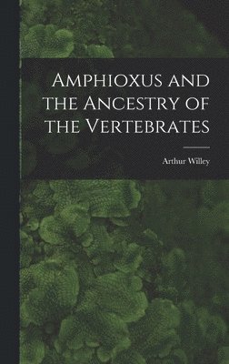 Arthur 1867-1942 Willey, Arthur Willey - Amphioxus and the Ancestry of the Vertebrates [microform], Inbunden
