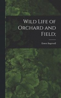 bokomslag Wild Life of Orchard and Field;